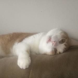 Meet your Posher, Richard